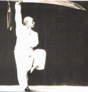 Explorando el arte marcial japonés tradicional Baguazhang