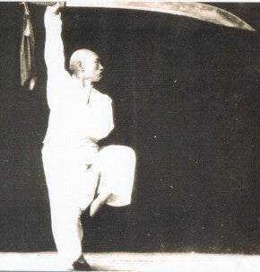 Erkundung der traditionellen japanischen Kampfkunst Baguazhang