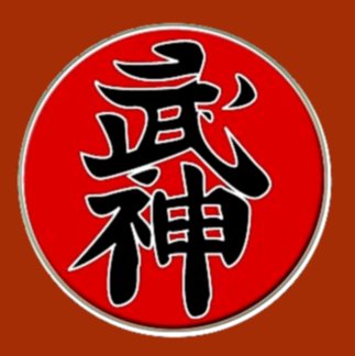 5 datos divertidos sobre la Bujinkan japonesa