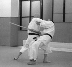 Técnicas de artes marciales japonesas duras vs blandas